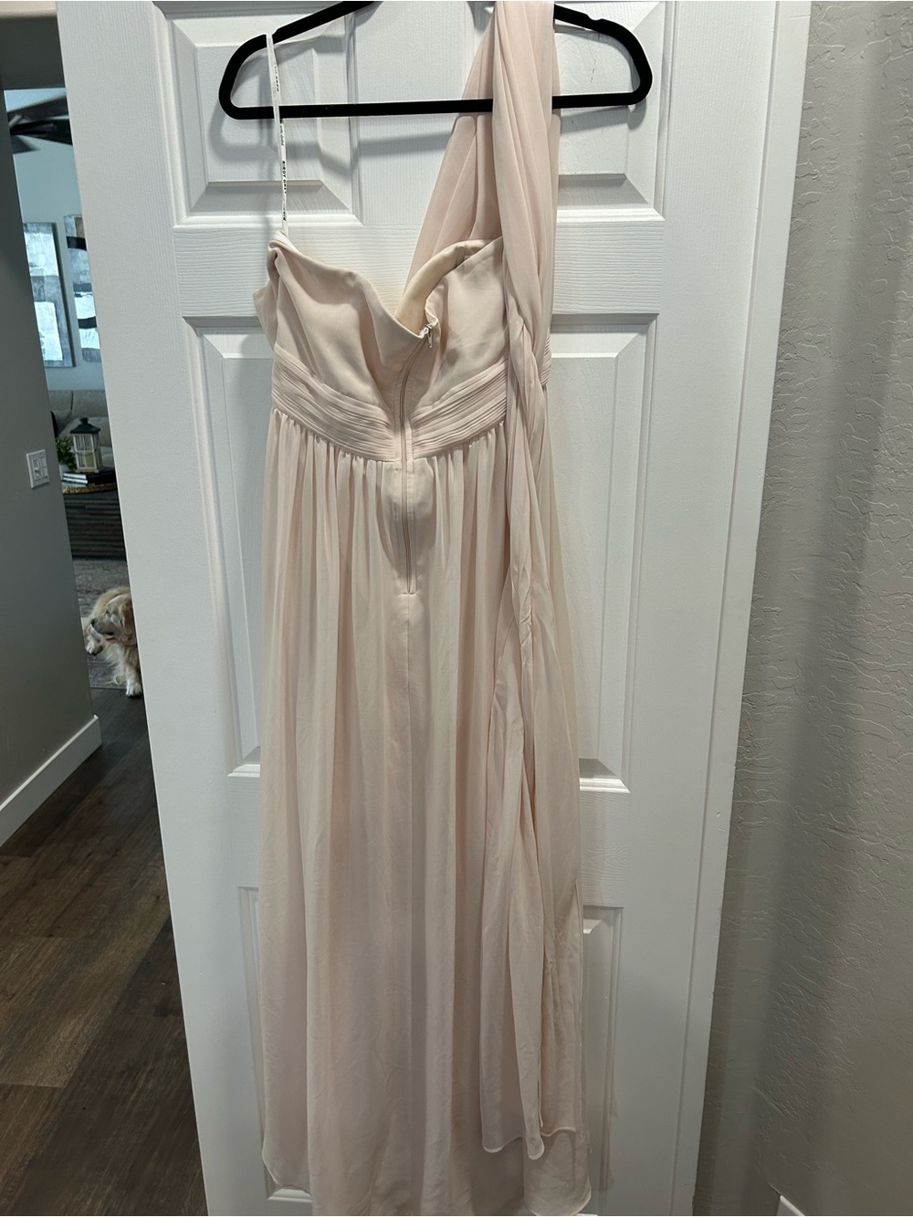 Birdy Grey Grace convertible Chiffon Dress in Champagne (blush) - Picture 3 of 4